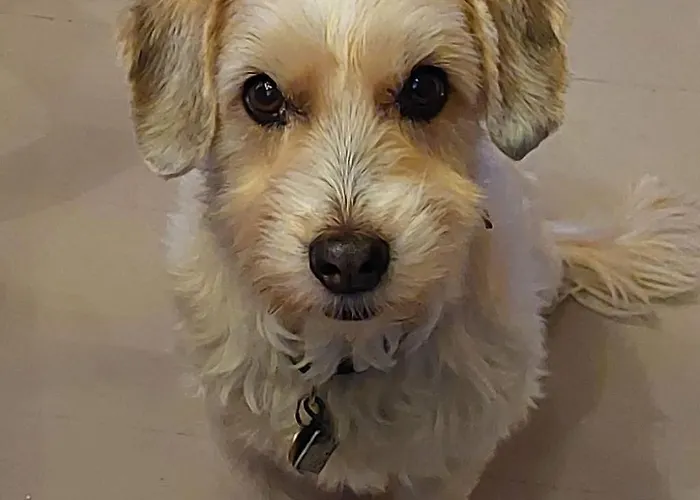 Aebnit By Interhome Aeschi Bei Spiez