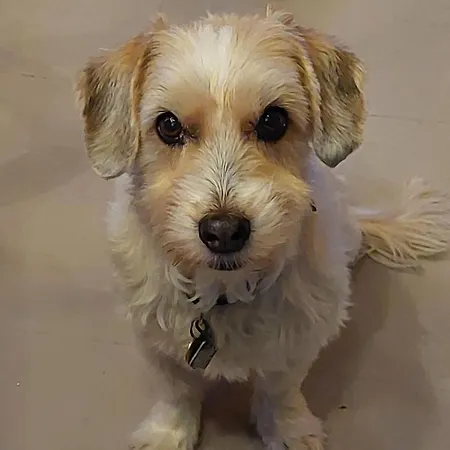 Aebnit By Interhome Aeschi Bei Spiez